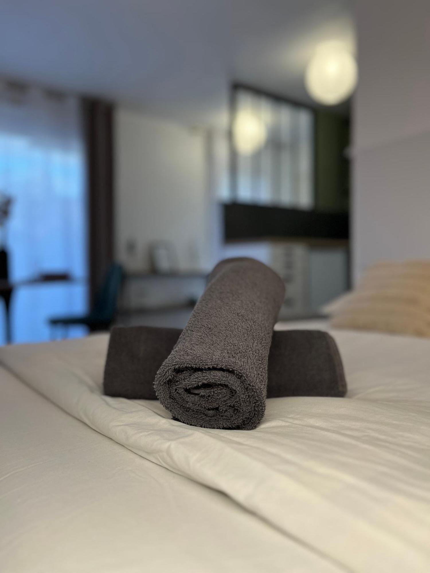 Petit Cocon Paisible Apartment Льо Ман Екстериор снимка